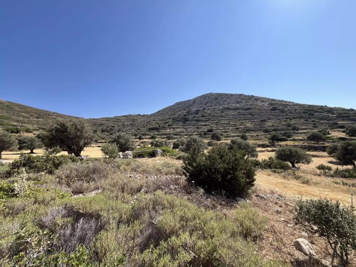 Image No.15-1 Bed House for sale