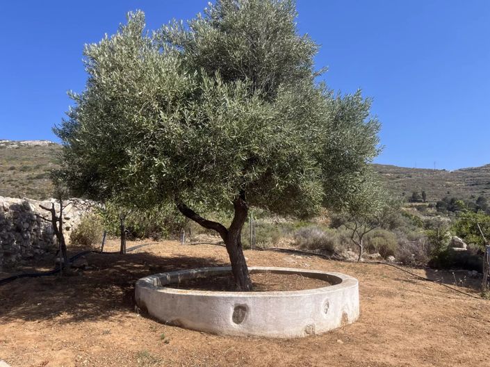 Image No.4-1 Bed House for sale