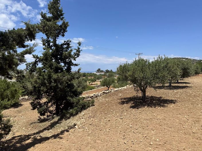 Image No.3-Land for sale