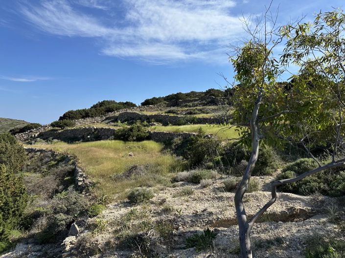 Image No.2-Land for sale