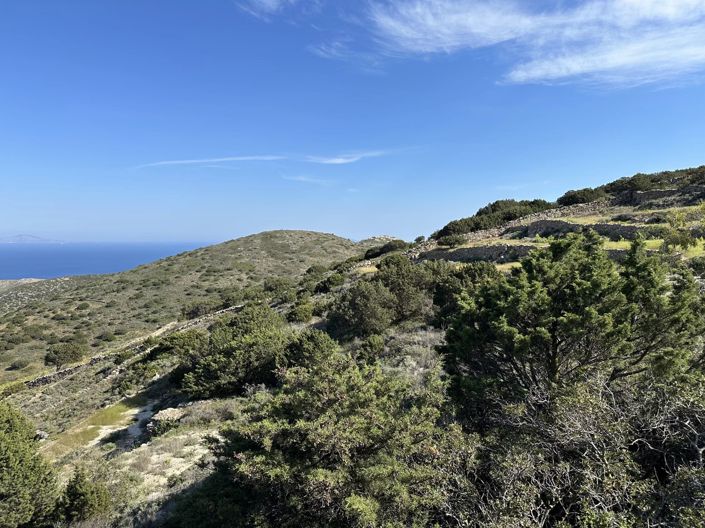 Image No.5-Land for sale