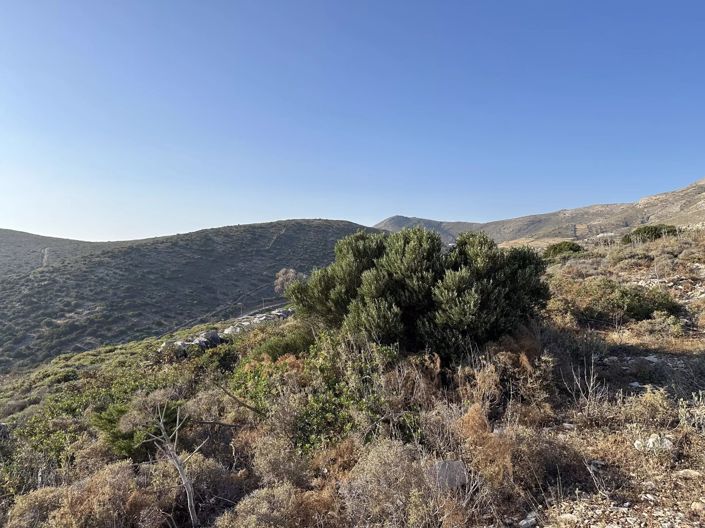 Image No.6-Land for sale