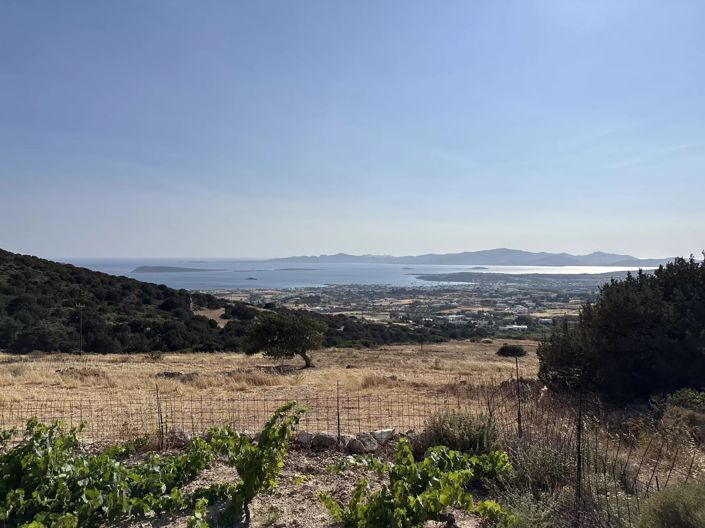 Image No.13-Land for sale