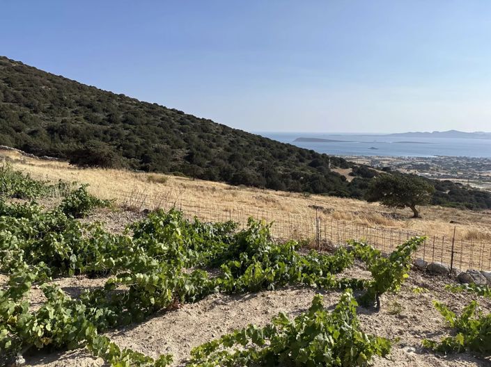 Image No.14-Land for sale