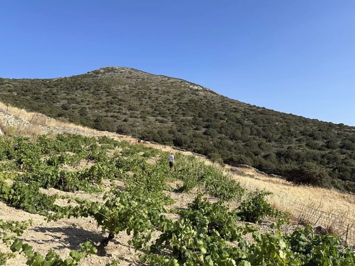 Image No.3-Land for sale