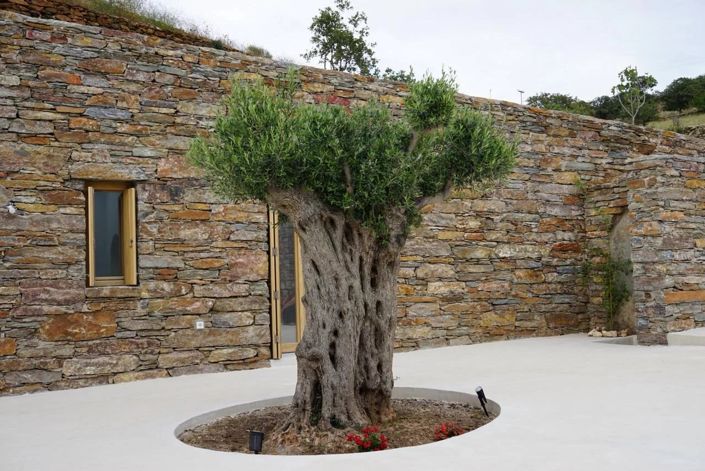 Image No.4-3 Bed House for sale