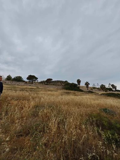 Image No.11-Land for sale