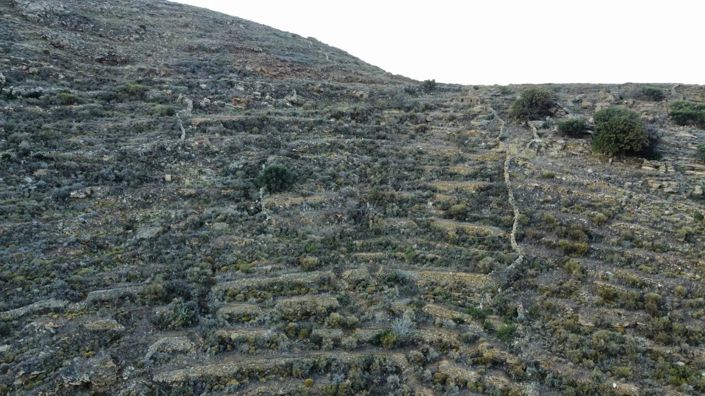 Image No.7-Land for sale