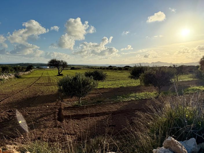 Image No.1-Land for sale
