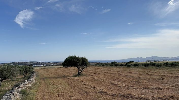 Image No.8-Land for sale