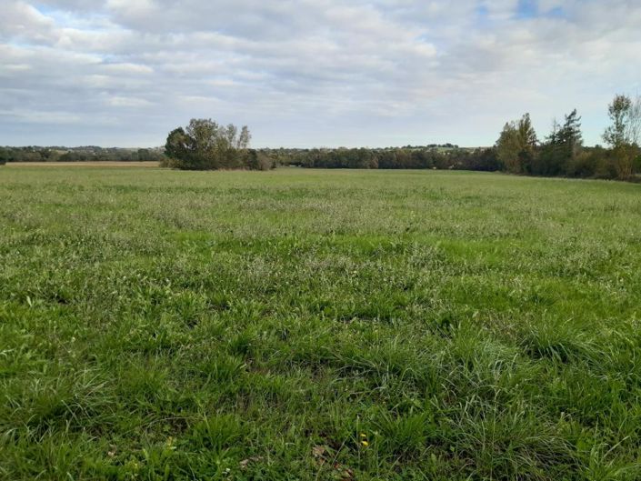 Image No.15-3 Bed Property for sale