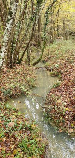 Image No.10-11 Bed Property for sale