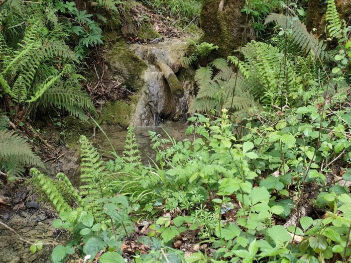 Image No.18-11 Bed Property for sale