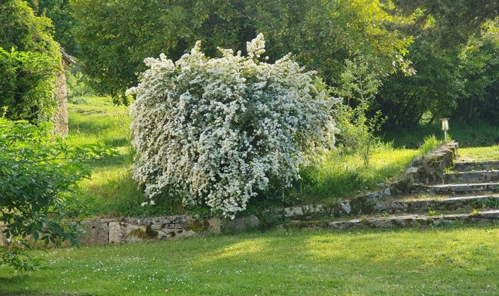 Image No.8-11 Bed Property for sale