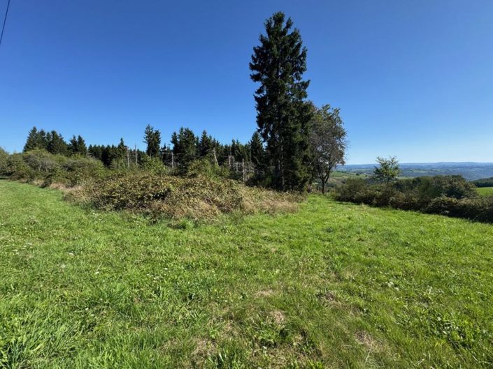 Image No.15-3 Bed Property for sale