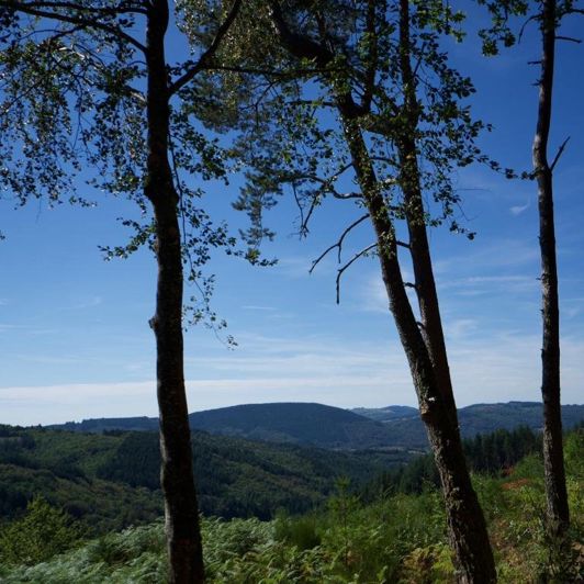 Image No.8-31 Bed Property for sale