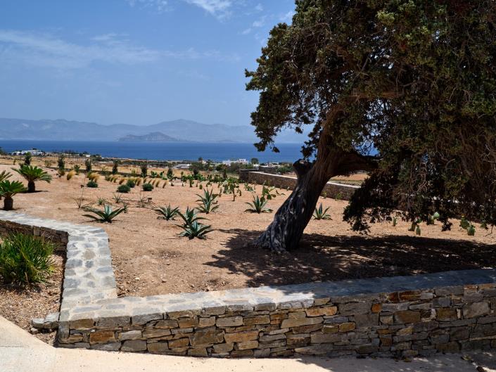 Image No.38-6 Bed Villa for sale