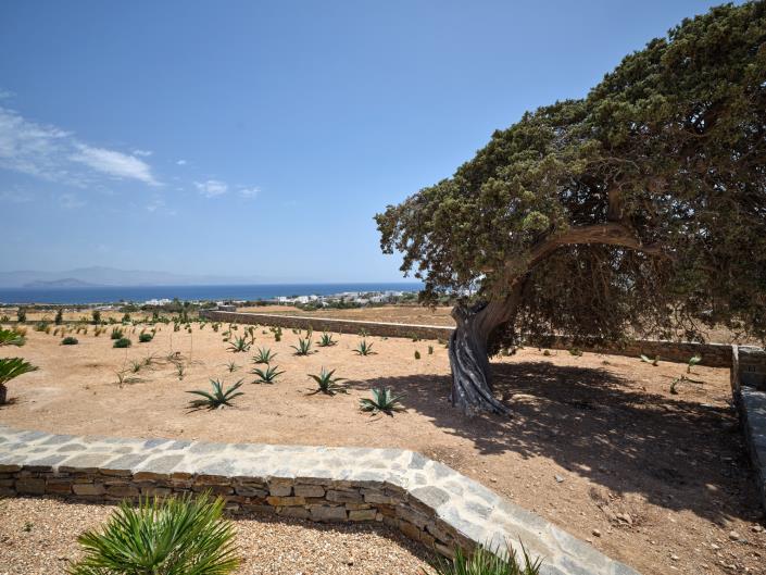 Image No.34-6 Bed Villa for sale