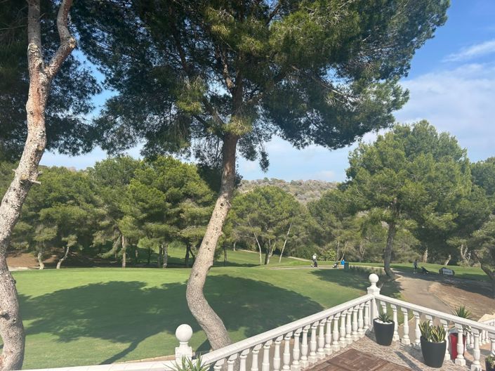 Image No.7-5 Bed Villa for sale