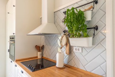 14-herceg-novi-baosici-luxury-provence-style-