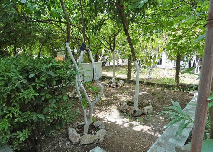 Image No.6-2 Bed House for sale