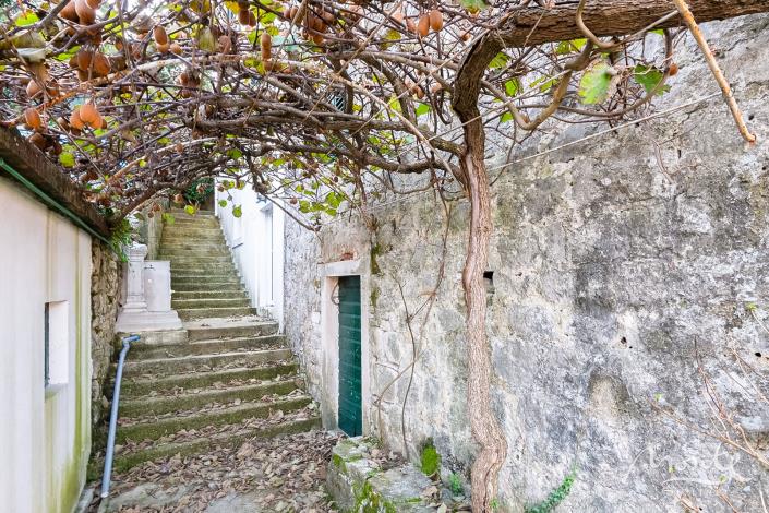 Image No.13-7 Bed House for sale