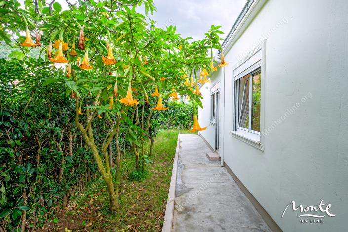 Image No.17-4 Bed House for sale