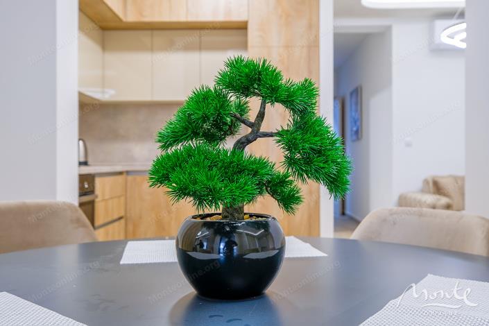 Image No.23-Studio for sale