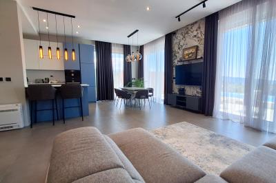 sovershenno-novaya-stilnaya-villa-s-bassejnom-v-g-herczeg-novi_03