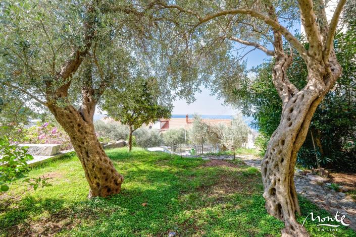 Image No.5-8 Bed House for sale