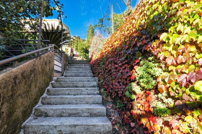 Image No.22-7 Bed House for sale