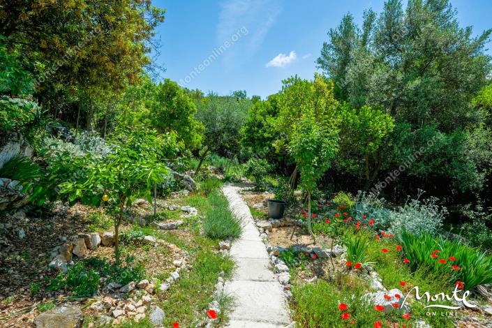 Image No.16-4 Bed House for sale