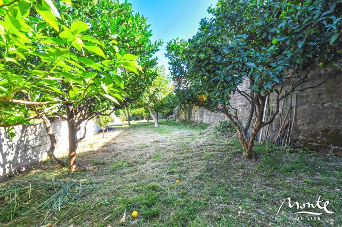 Image No.17-4 Bed House for sale