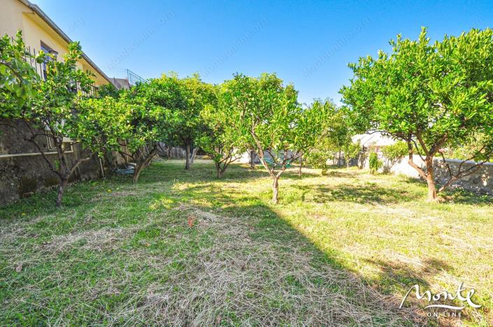 Image No.19-4 Bed House for sale