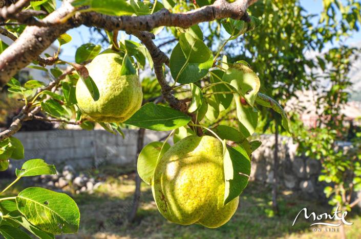 Image No.20-4 Bed House for sale