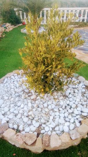 Image No.12-3 Bed Country House for sale