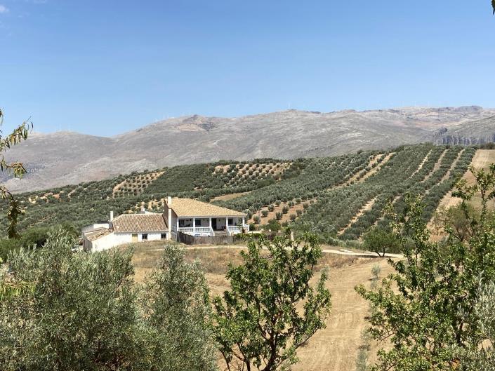 Image No.5-3 Bed Country House for sale