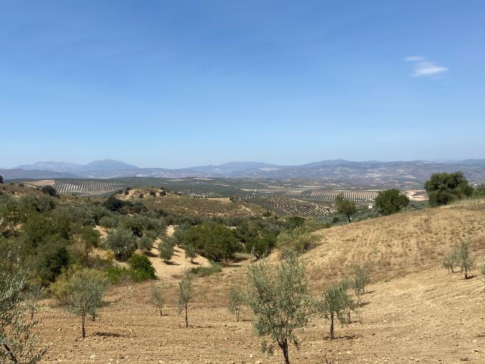 Image No.6-3 Bed Country House for sale