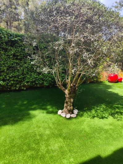 Image No.18-3 Bed House for sale