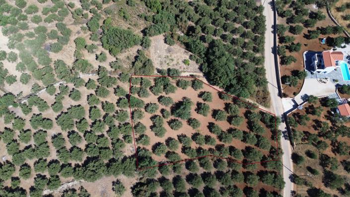 Image No.4-8 Bed Plot for sale