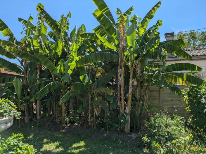 Image No.31-4 Bed House/Villa for sale