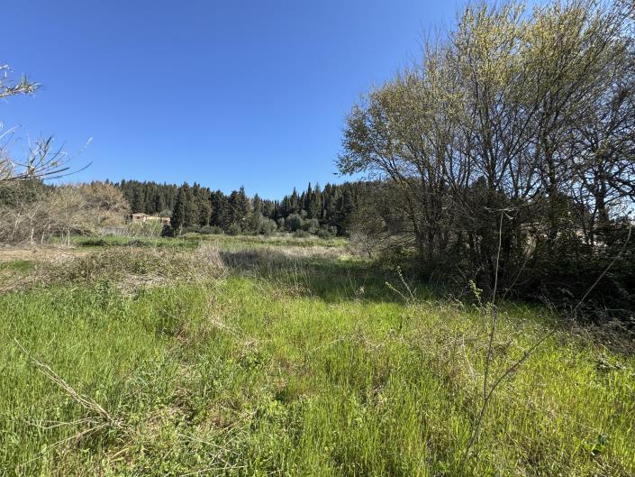 Image No.8-Land for sale