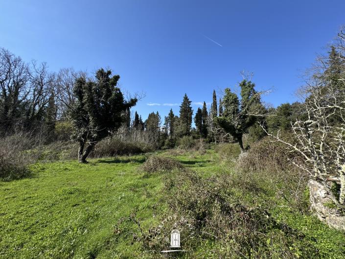 Image No.4-Land for sale