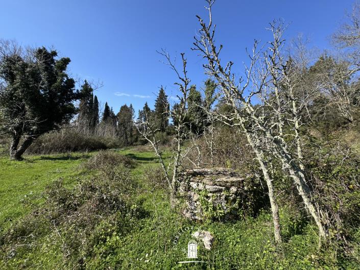 Image No.5-Land for sale