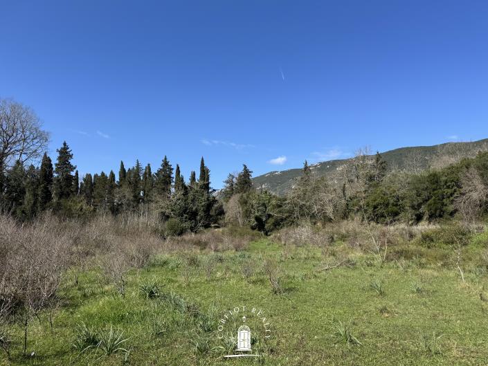 Image No.7-Land for sale