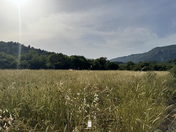 Image No.6-Land for sale