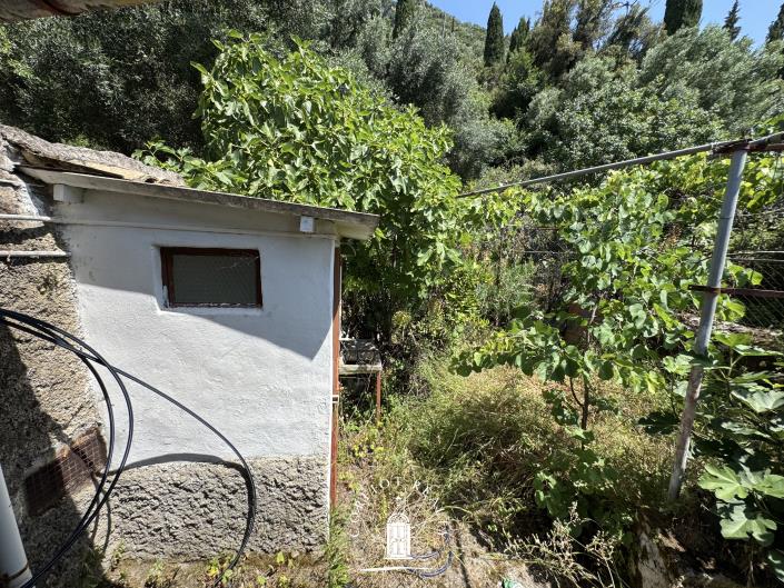 Image No.40-3 Bed House for sale