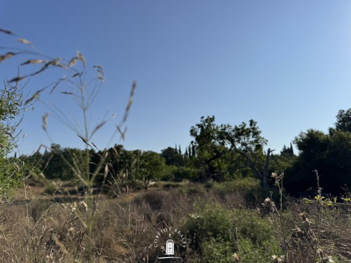 Image No.4-Land for sale