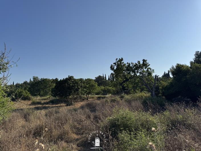 Image No.5-Land for sale