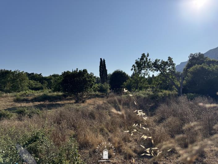 Image No.8-Land for sale